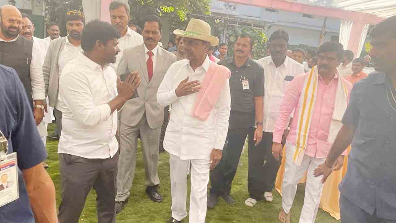 హస్తినలో మనోళ్లు