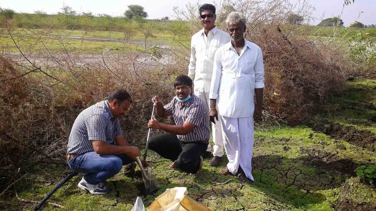 భూసార పరీక్షతో అధిక దిగుబడి