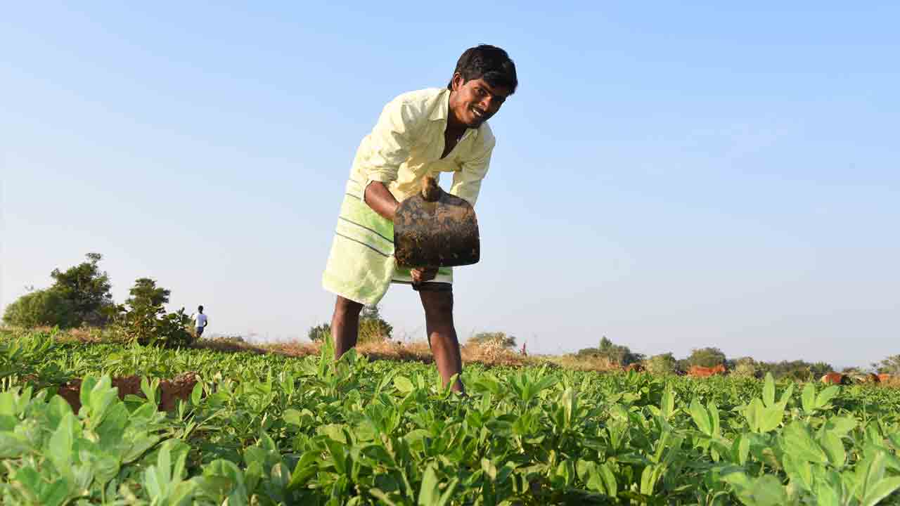 రైతు ఇంట బంధువై..