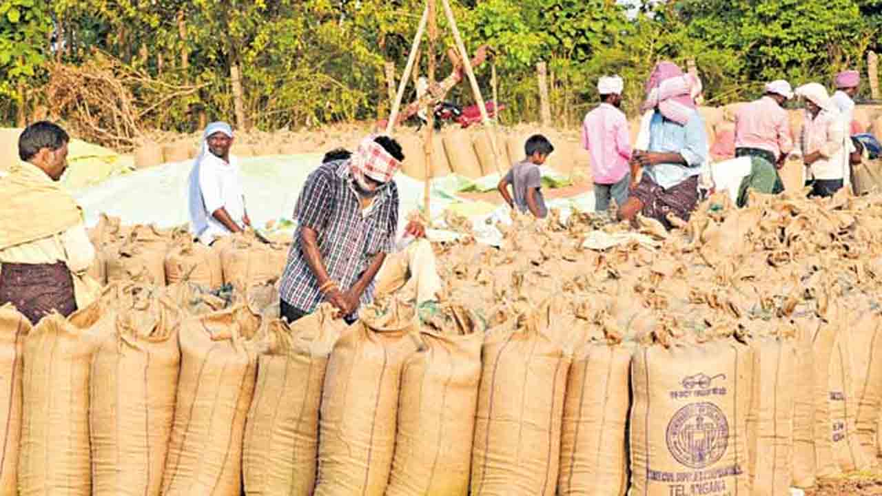 22 కేంద్రాలు 2.50 లక్షల క్వింటాళ్లు