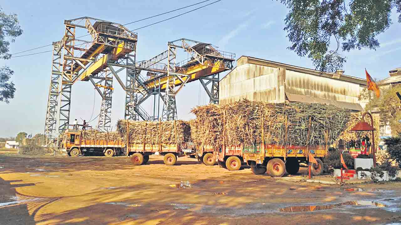 జోరుగా క్రషింగ్‌