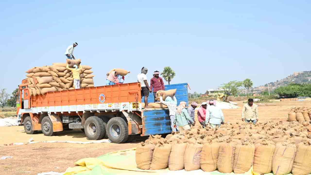 దండిగా ధాన్యం267 కేంద్రాల ద్వారా కొనుగోళ్లు