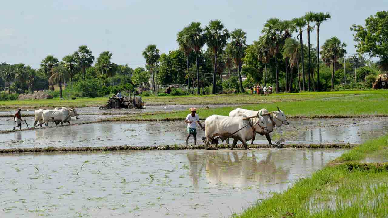 యాసంగికి రెడీ