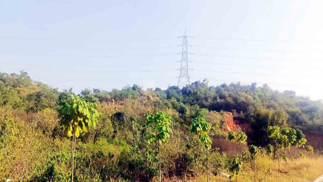 ఇక మేడిన్‌ దండుమల్కాపురం