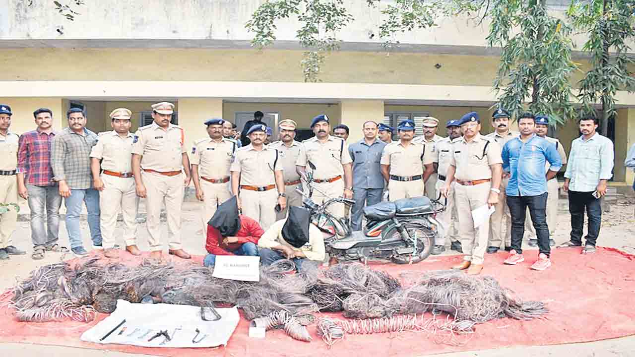 దొంగల ముఠా అరెస్టు