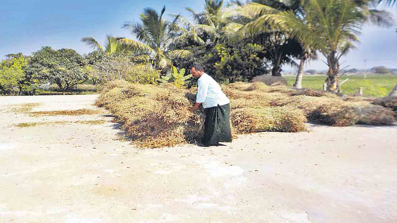 కల్లాలు.. రైతు నేస్తాలు..