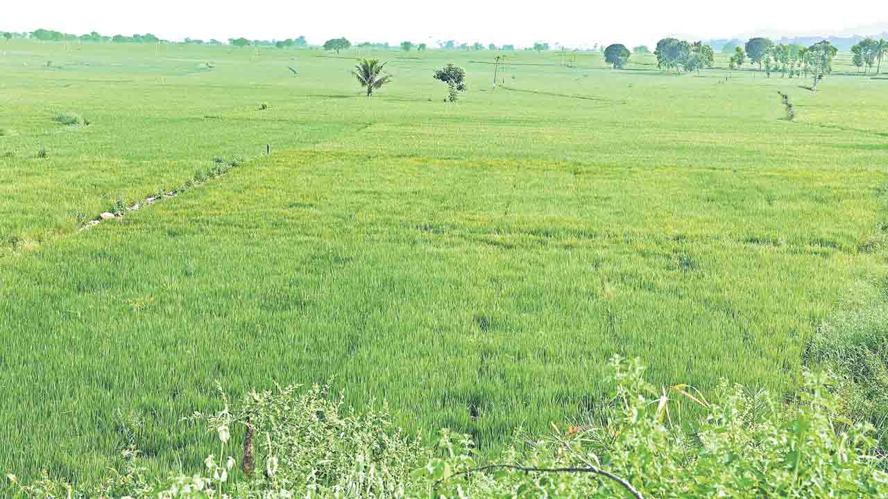 సాగుకు సాయం