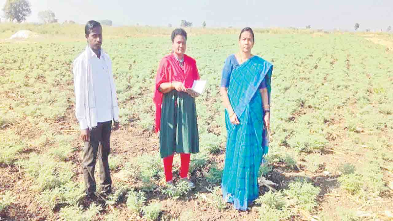 పంటల సాగుపై అవగాహన సదస్సులు