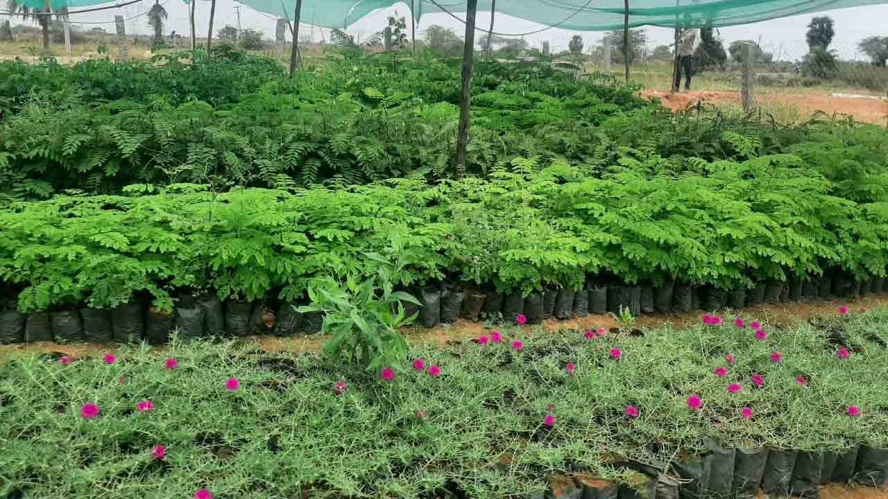 మొక్కవోని సంకల్పం