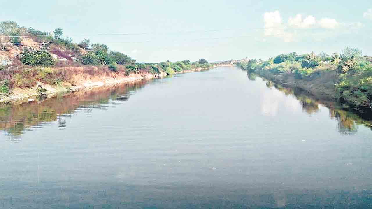 రంది లేకుండా ‘సాగు’డే..