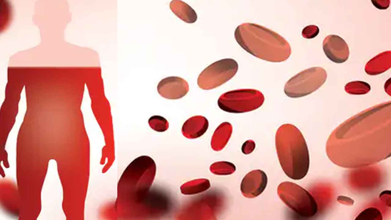 Anemia in Men | పురుషుల్లో పీరియడ్స్‌ ఉండకున్నా.. ఎనిమియా రావడమేంటి..? కారణాలివిగో..!