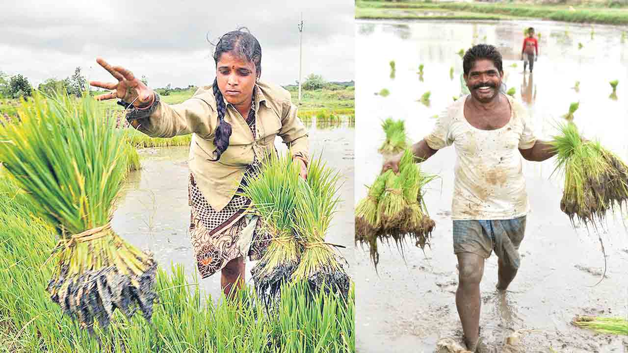 నేటి నుంచి రైతుబంధు.. 70.54 లక్షల మందికి పెట్టుబడి సాయం