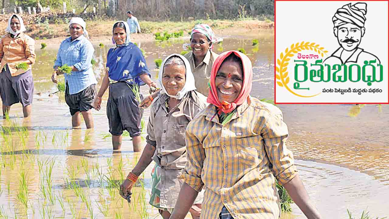 ‘రైతుబంధు’ తెచ్చిన సంబురం