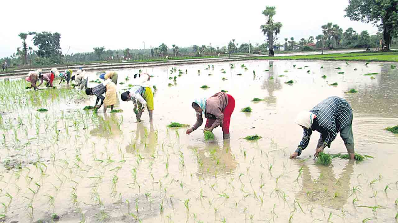 నేరుగా రైతుల ఖాతాల్లో పెట్టుబడి సాయం జమ