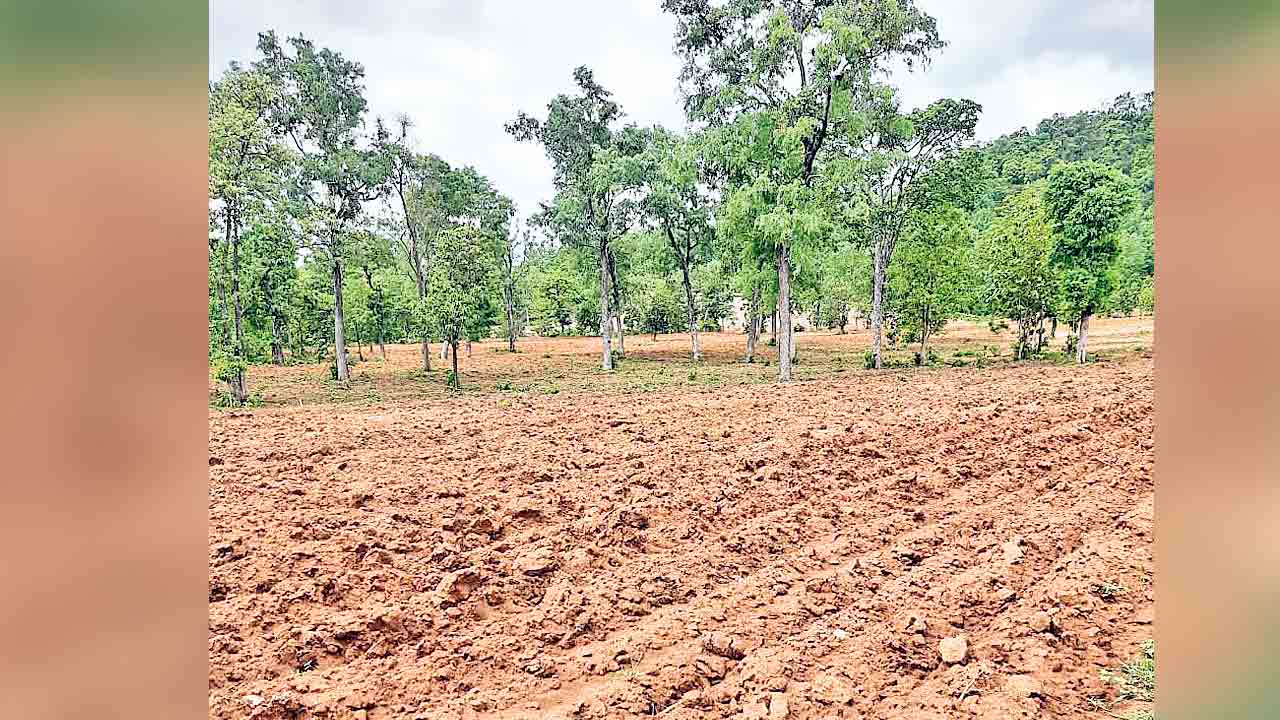 శాశ్వత పరిష్కారం దిశగా పోడు భూముల సమస్య