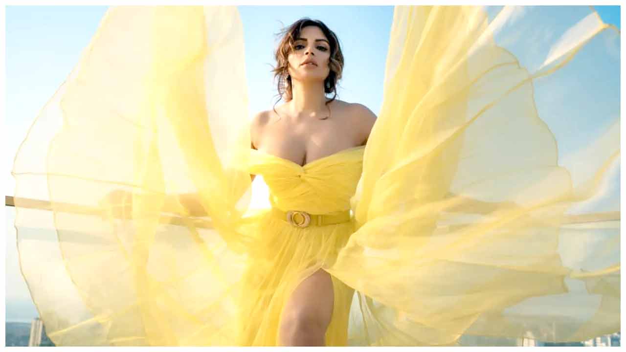 Shama Sikander | షామా సికందర్ అందాల హొయలు..