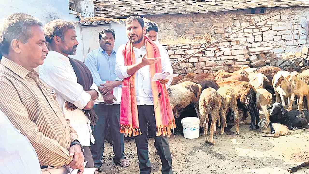 గొర్రెలతో చంద్రప్పకు రూ.15 లక్షలు