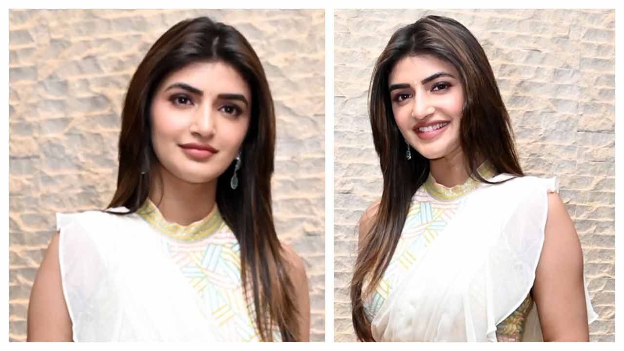 Sreeleela | ధమాకా మూవీ ప్రీ రిలీజ్ ఈవెంట్‌లో శ్రీలీల..