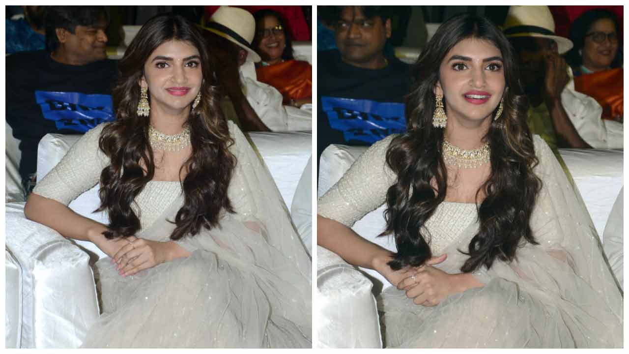 Sreeleela | ధమాకా మూవీ సక్సెస్ మీట్‌లో శ్రీలీల..