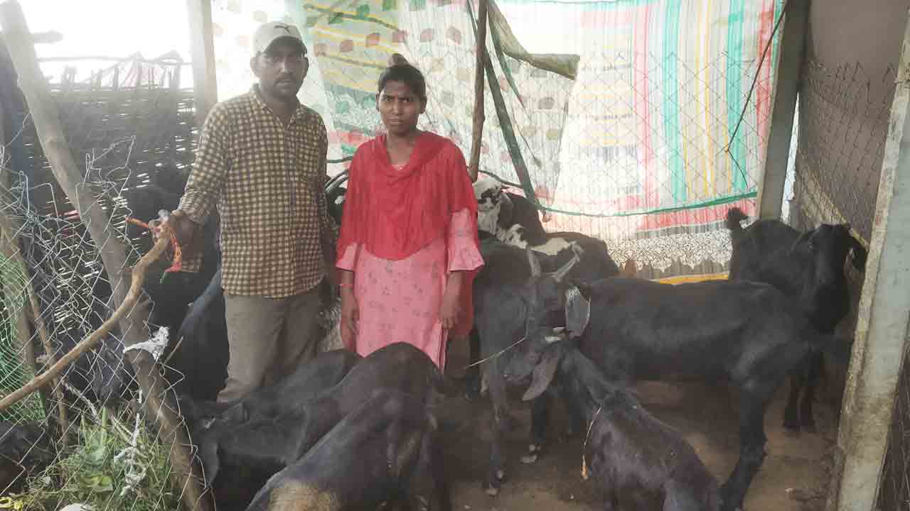 దివ్యాంగ బంధువై.. ఉన్నతికి నెలవై..