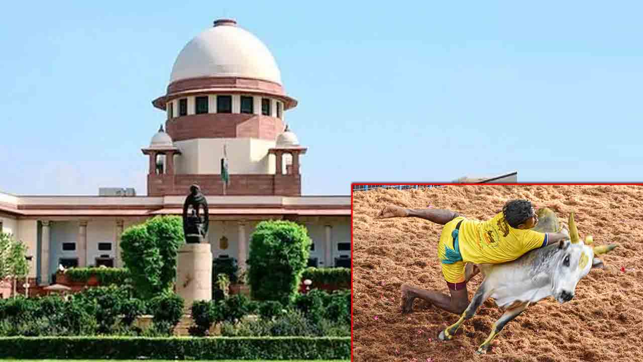 Supreme Court | జల్లికట్టును నెత్తుటి క్రీడ అనలేం : సుప్రీం కోర్టు