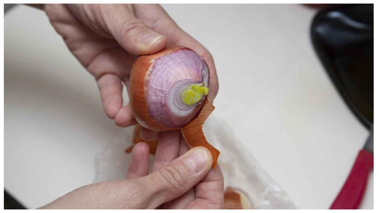 Onion Peel Benefits | ఉల్లి తొక్కలతో ఆశ్చర్యకరమైన ప్రయోజనాలు.. తెలిస్తే విడిచిపెట్టరు..