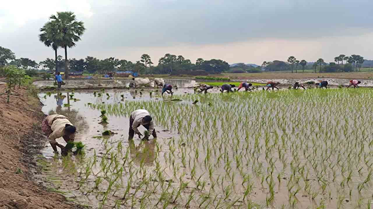 వలస కూలీలకు ఉపాధి