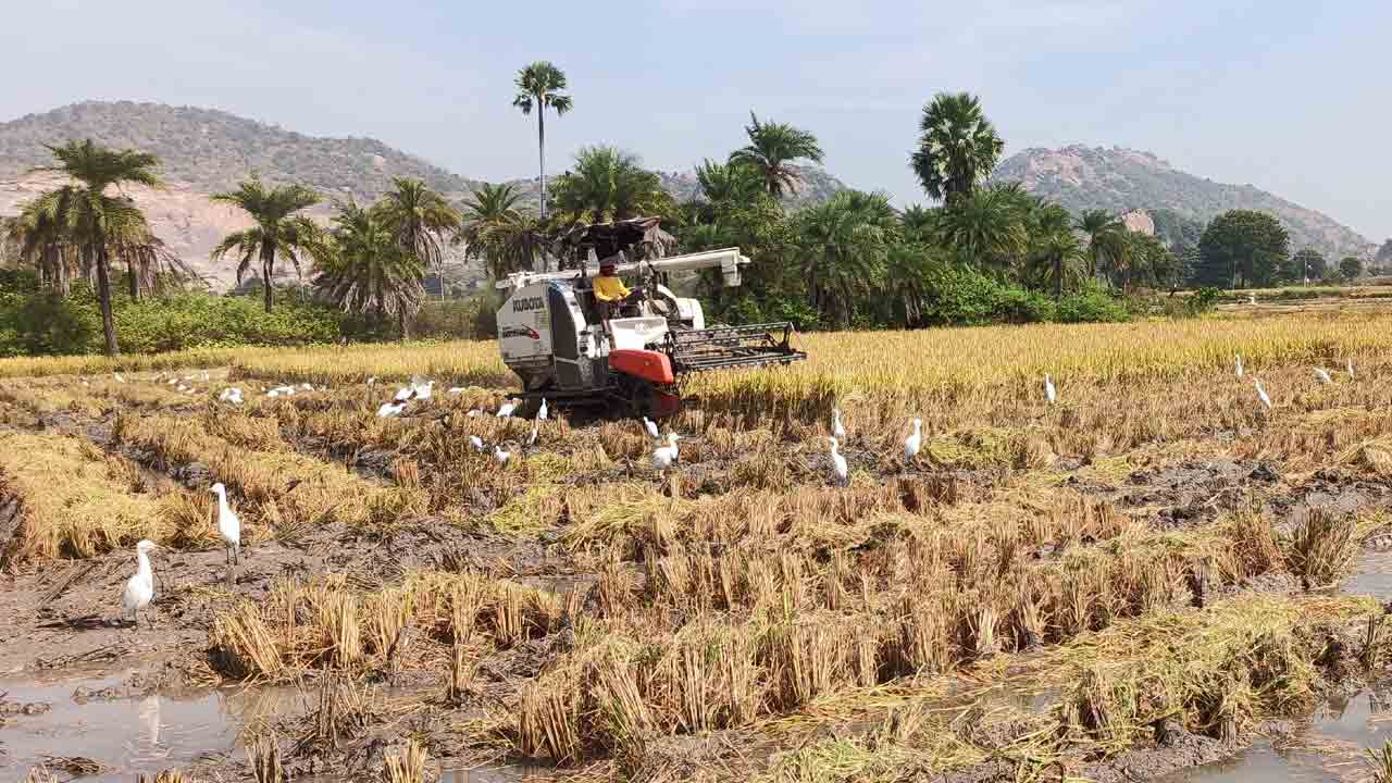 మినీ హార్వెస్టర్‌