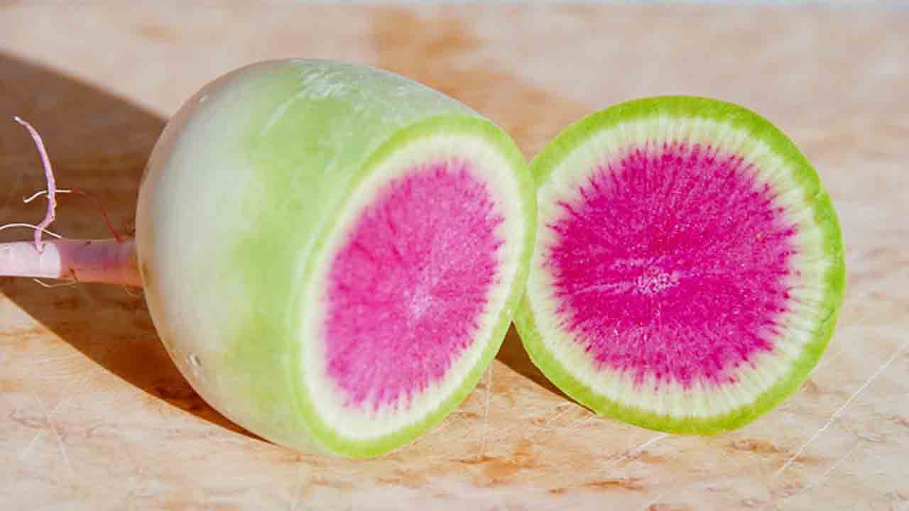 తర్బూజ లాంటి ముల్లంగి!