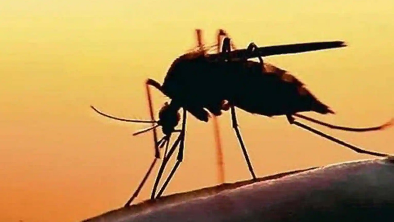 పుణెలో జికా వైరస్‌ కలకలం.. 67 ఏండ్ల వ్యక్తిలో గుర్తింపు