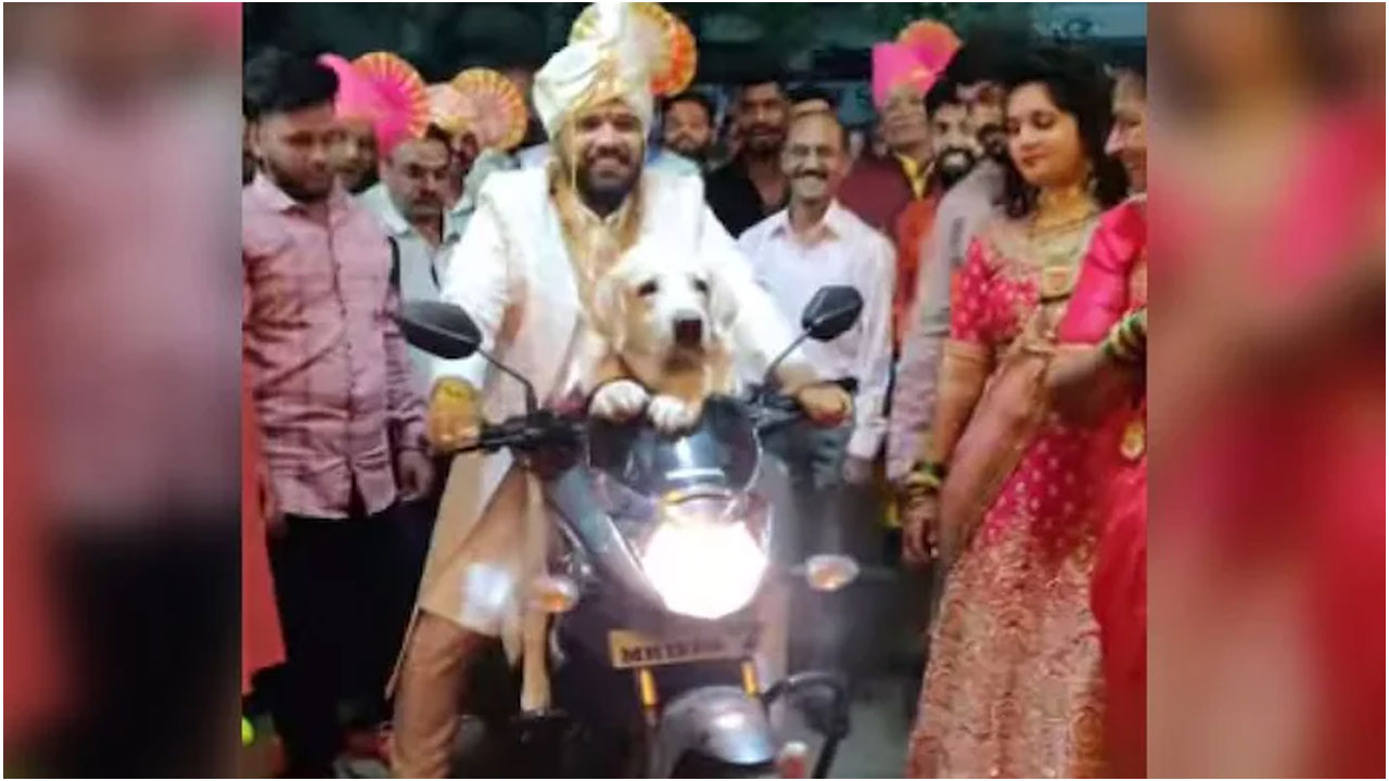 పెంపుడు కుక్క‌తో పెండ్లి మండ‌పానికి బైక్‌పై చేరుకున్న వ‌రుడు