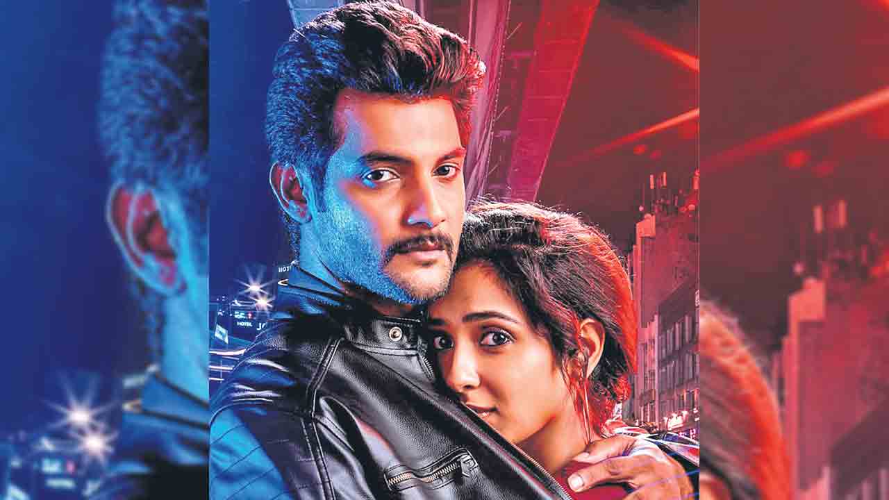 ఎందుకు వేటాడుతున్నారు