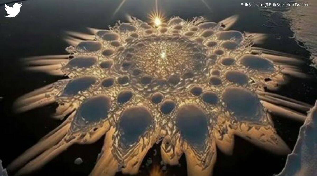 Ice Flowers | చైనా న‌దిలో విచ్చుకున్న‌ మంచు పూలు.. వావ్‌.. అద్భుతం అంటున్న‌ నెటిజ‌న్లు