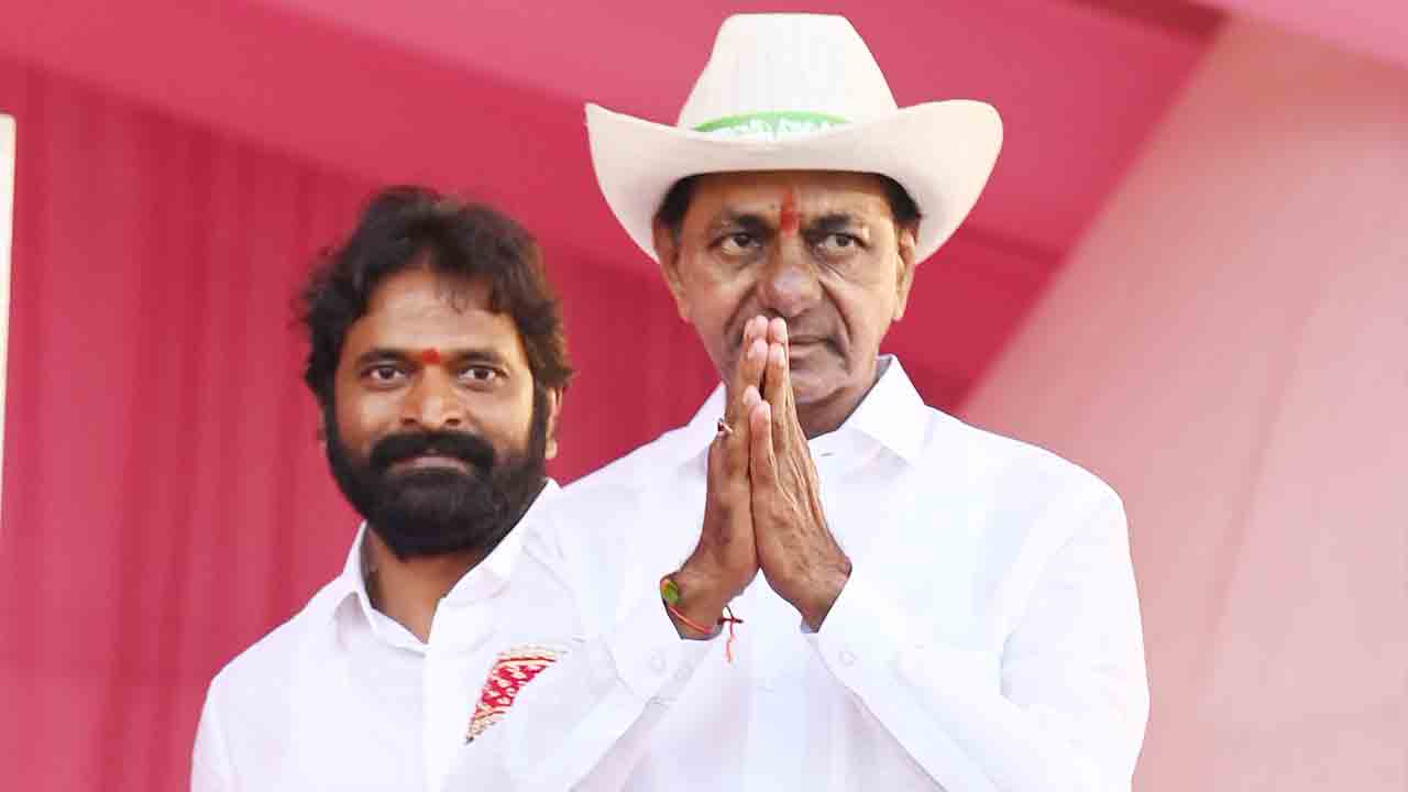 పంజా లెవ్వాలె.. దెబ్బకొట్టాలె