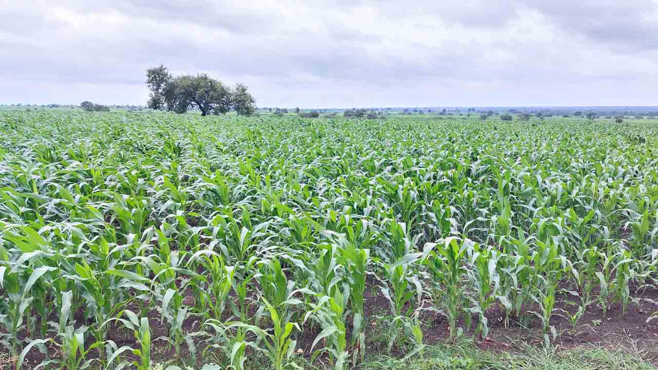 మద్దతుకు మించి..