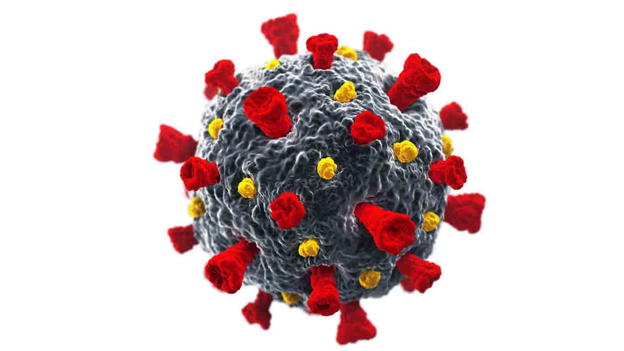 బీఎఫ్‌-7 అలర్ట్‌ ఆందోళన అవసరం లేదు.. అప్రమత్తం మాత్రం తప్పనిసరి