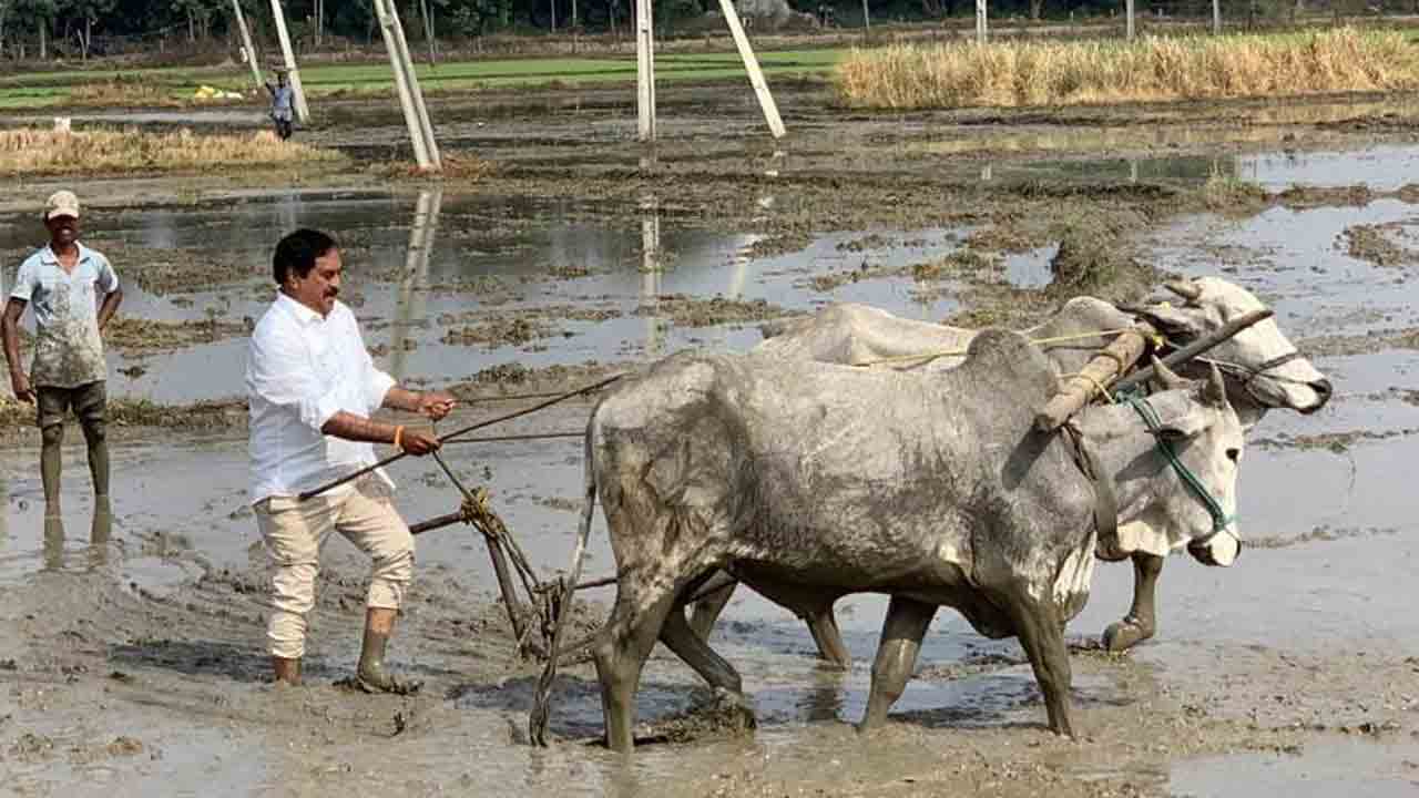 Video | పొలం దున్నిన మంత్రి ఎర్రబెల్లి దయాకర్ రావు