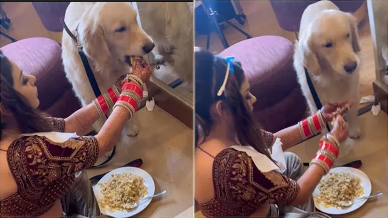 వైర‌ల్ వీడియో : పెండ్లికి ముస్తాబవుతూ పెంపుడు కుక్క ఆక‌లి తీర్చిన న‌వ వ‌ధువు!