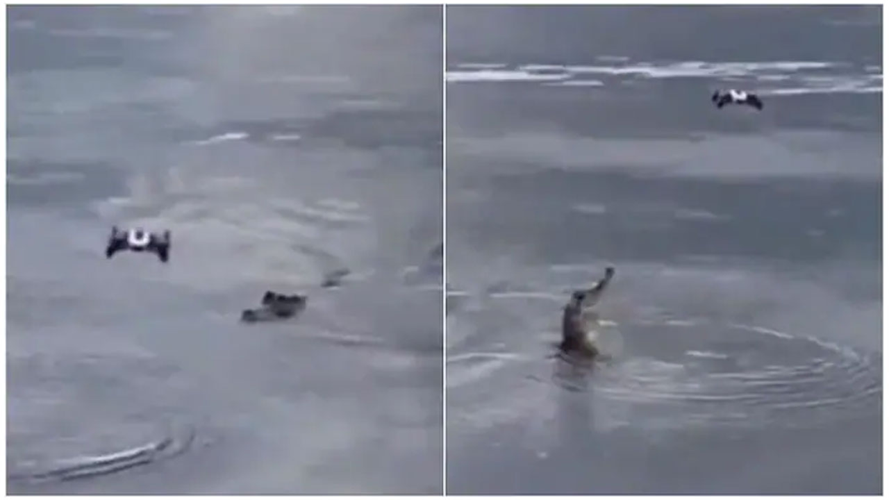 నీటిలో మొస‌లి ఫుటేజ్‌ను డ్రోన్ క్యాప్చ‌ర్ చేస్తుండ‌గా ఊహించ‌ని ట్విస్ట్