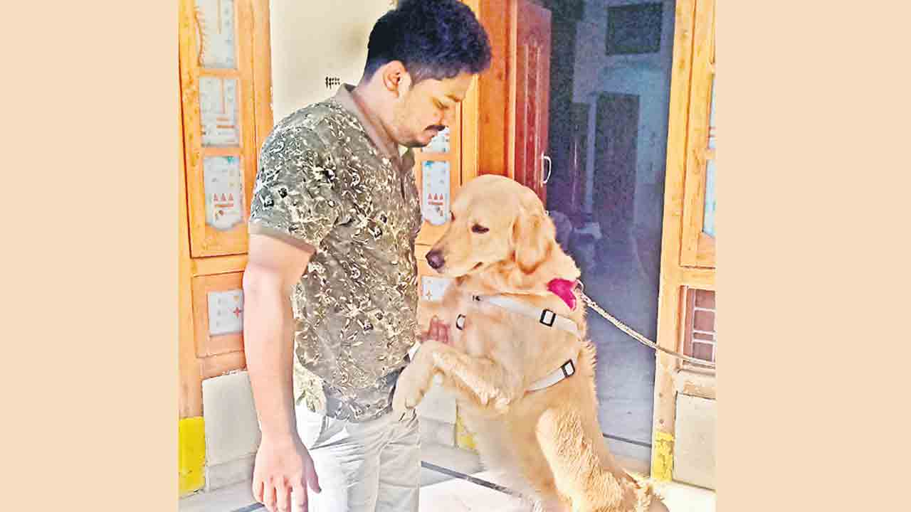 రాజభౌగం