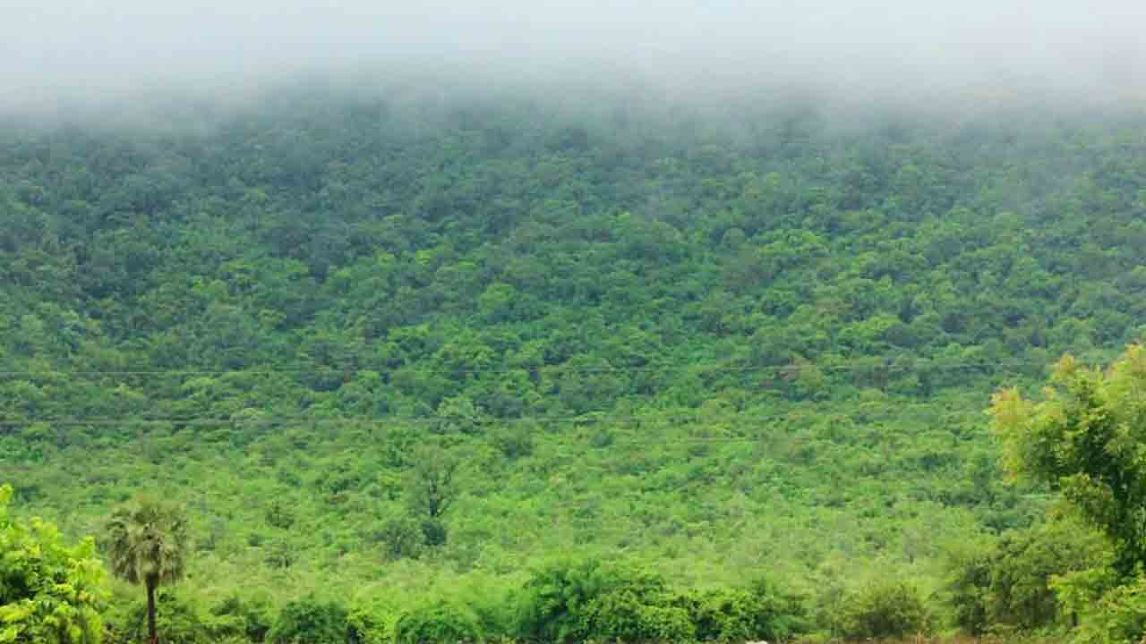 ఏటూరు నాగారం అభయారణ్యం పరిధిలో ఎకో టూరిజం పునఃప్రారంభం