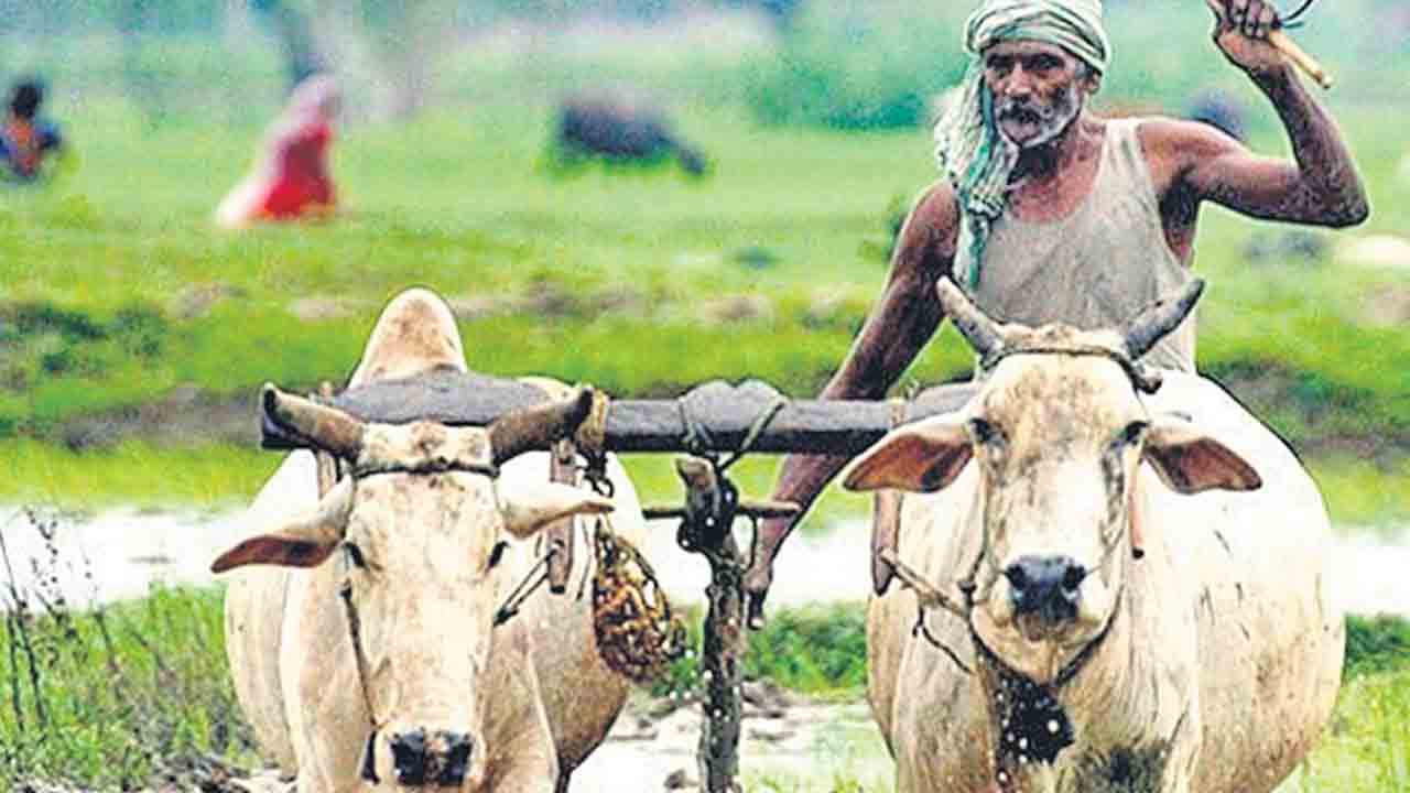 రైతులకు పెట్టుబడి సాయం