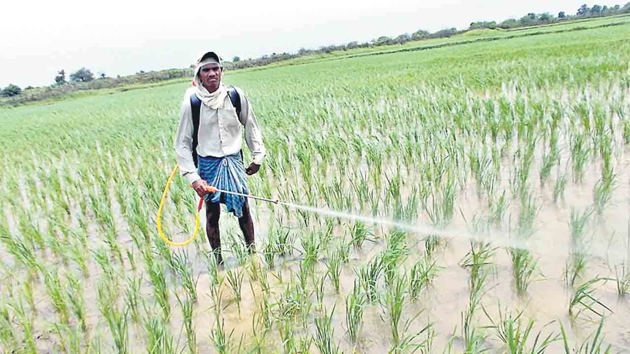 Soil Testing Day! భూసార పరీక్ష.. పంటకు రక్ష..