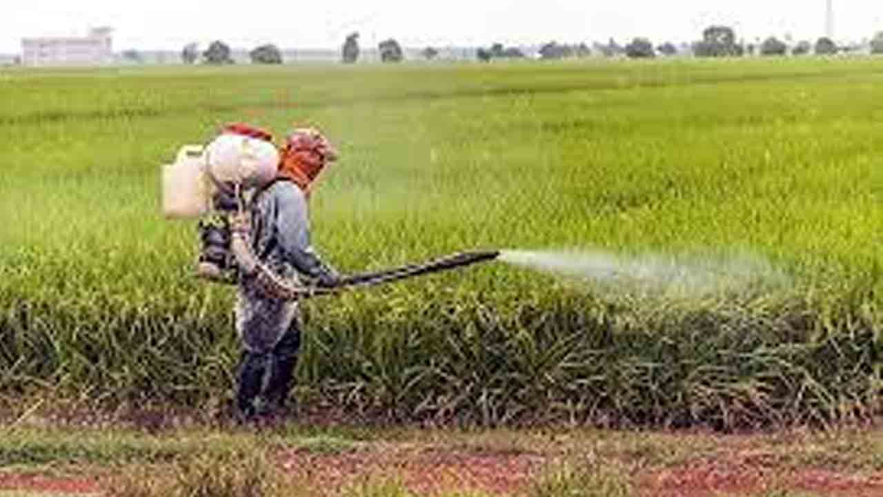 పురుగు మందుతో 16 మంది కూలీలకు తీవ్ర అస్వస్థత..ఆస్పత్రికి తరలింపు