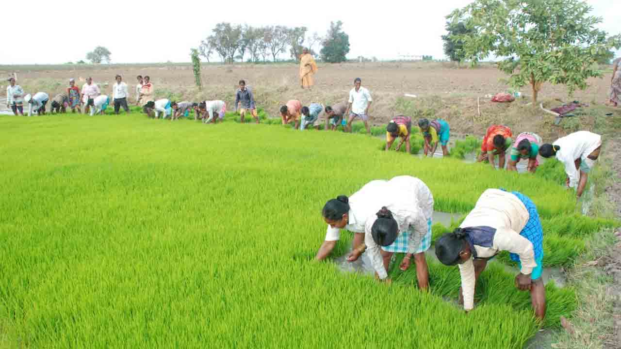 రైతుబంధుకు జేజేలు