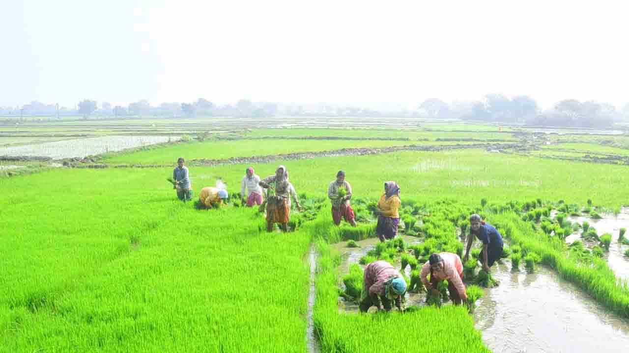ఆనందంగా సాగుతాం..