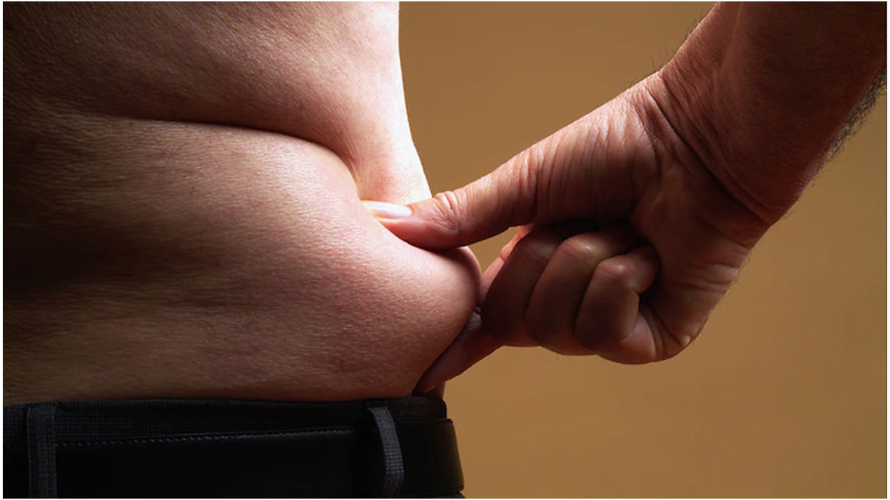Health Tips : పొట్ట‌లో కొవ్వును క‌రిగించండిలా..!