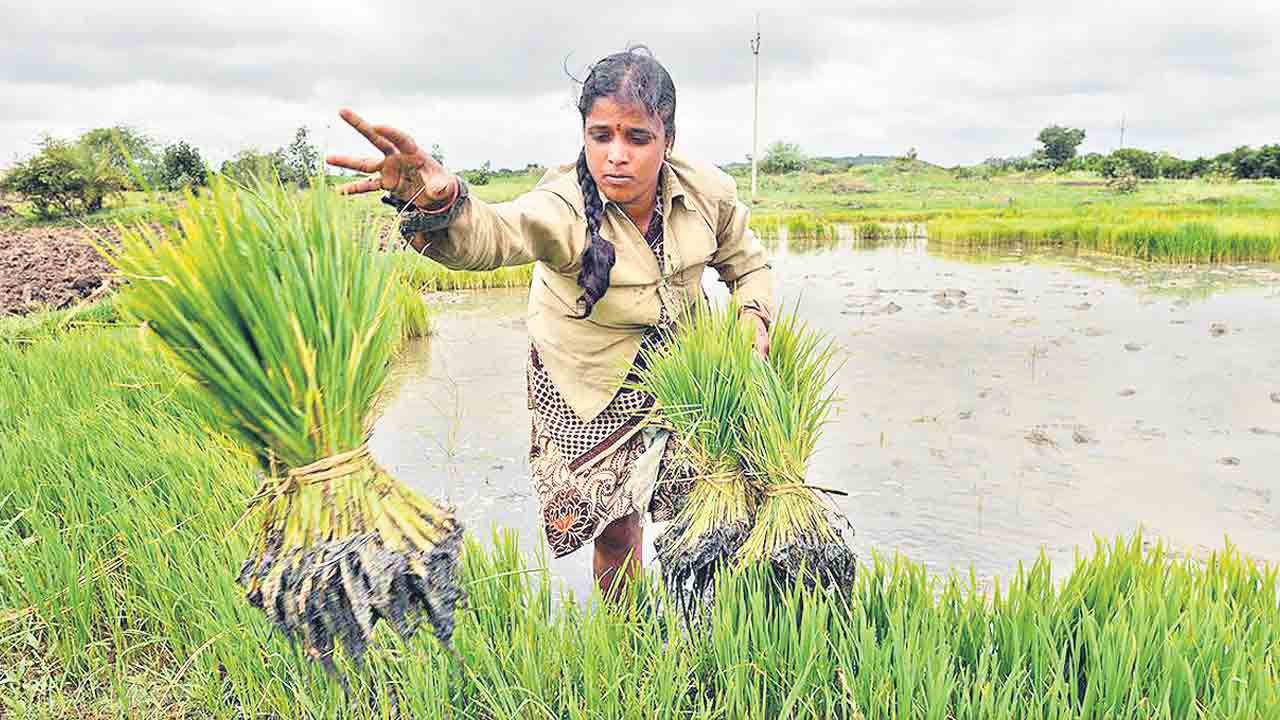 నేటి నుంచి రైతుబంధు