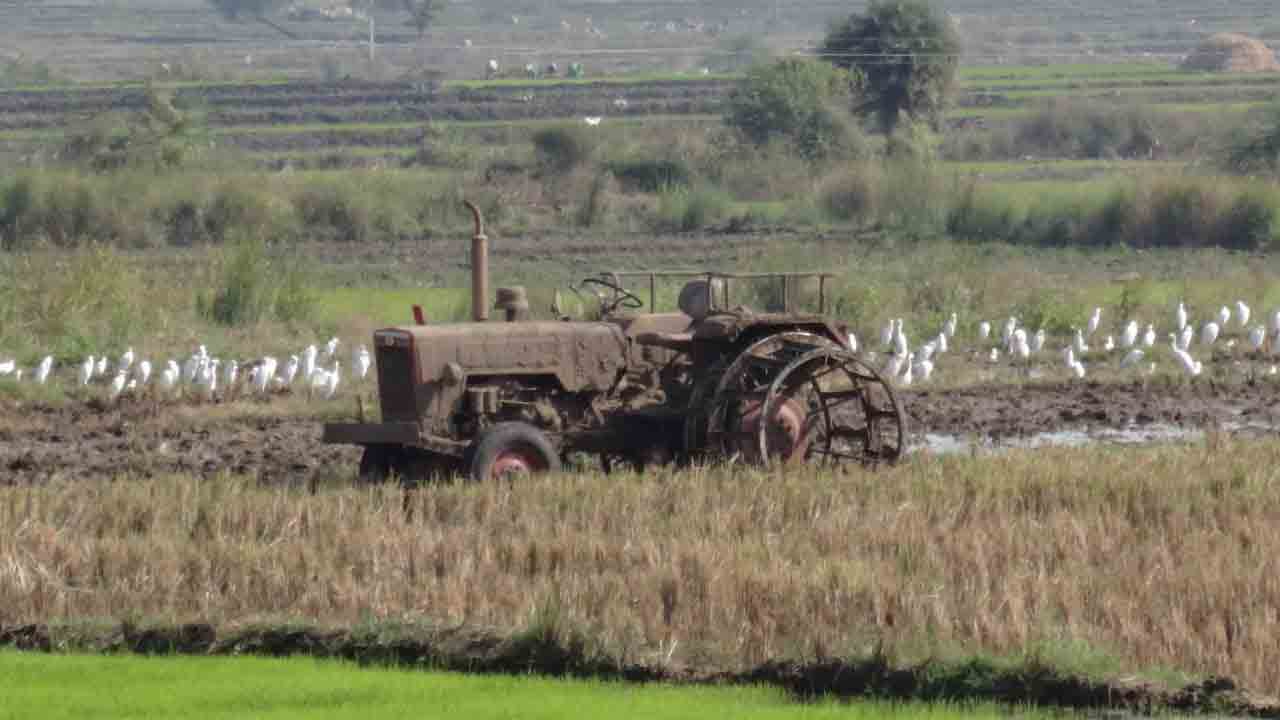 యాసంగికి సిద్ధం