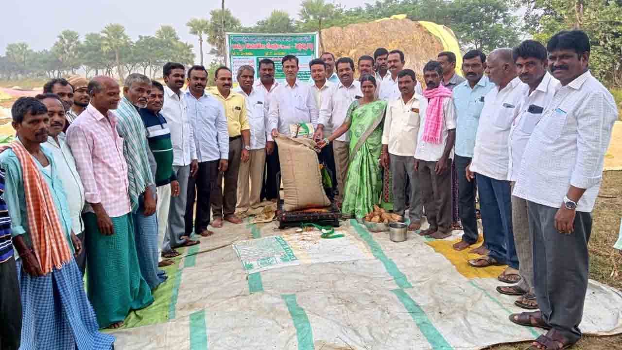 ధాన్యం కొనుగోలు కేంద్రాలు ప్రారంభం